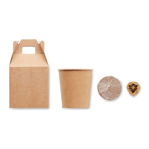 Pine tree box - Image 2